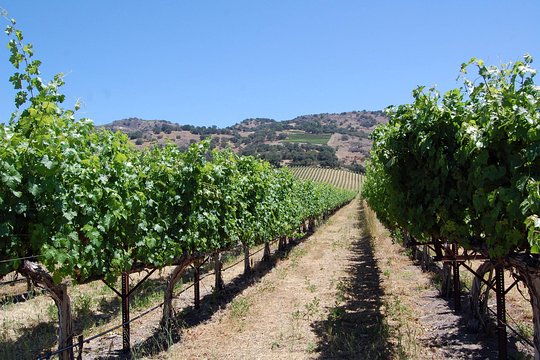 Tour image 4