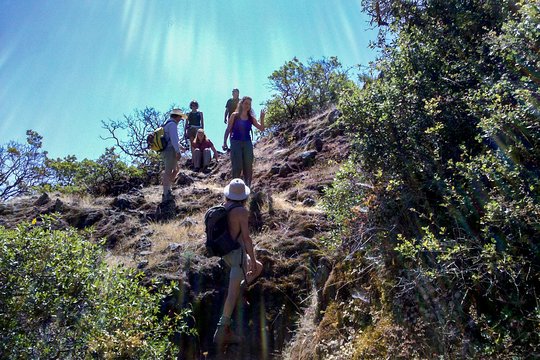 Tour image 6