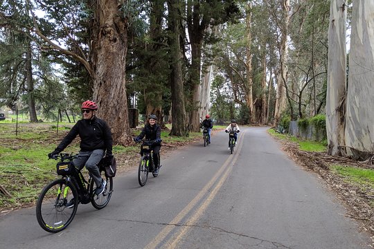 Tour image 4