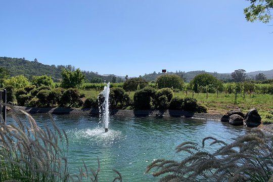 Tour image 6