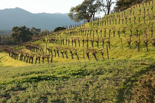 Tour image 11