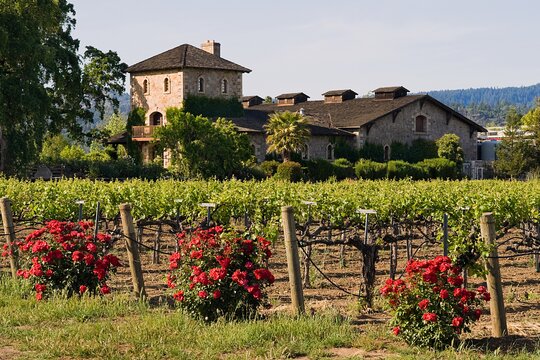 Tour image 9