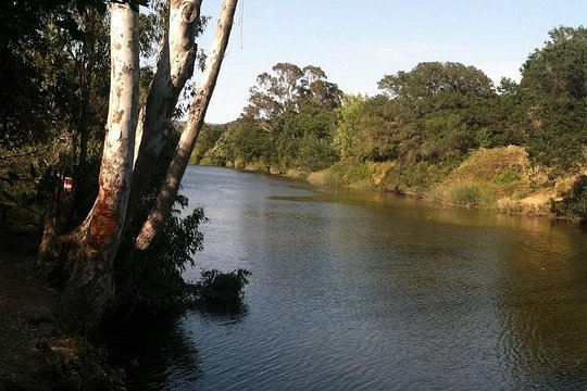 Tour image 11